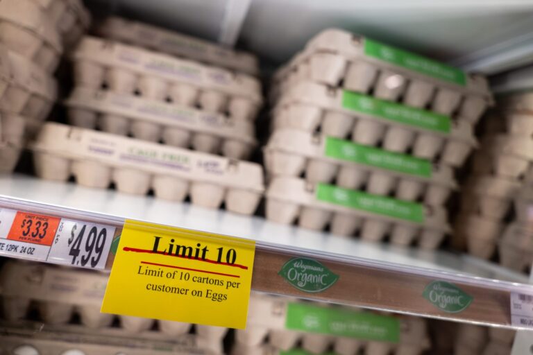 U.S. to boost egg imports and farm relief as prices soar on bird flu